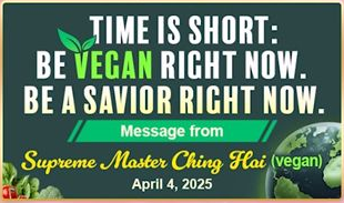 TIME IS SHORT: BE VEGAN RIGHT NOW. BE A SAVIOR RIGHT NOW. April 4, 2025